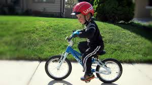 Perfect little tricycle for kids, mainly consist of. 5 Best Bikes For Your 3 To 5 Year Old 12 Inch And 14 Inch Bikes For Boys Girls Rascal Rides