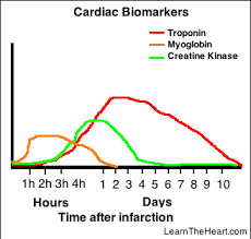 (must be a family name.) if you know the answers to these cartoon tr. 50 Cardiology Pimp Questions