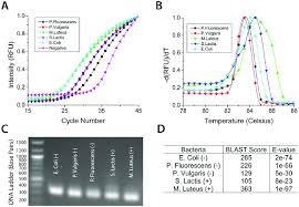 The Real Time Pcr Antibiogram For Pan Bacterial Detection And Download Scientific Diagram
