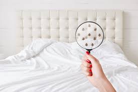 I have two children, two dogs and a bird. 2021 Cost To Exterminate Bed Bugs Bed Bug Treatment Cost