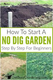 You can do it in raised garden beds or in it's a good choice to start getting these materials a few weeks before you plan on starting your no till gardening project so you have time to stockpile. No Dig Gardening 101 How To Start A No Till Garden Dig Gardens No Till Garden Organic Mulch