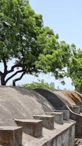 Shivadi fort : मुंबई शहराचा सुंदर ...