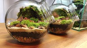 Making A Terrarium