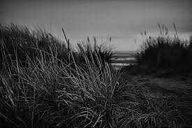 Arrosage régulier en période sèche , surtout pour les plantes en bac ( une fois par semaine. Ghid Practic Calcul CotÄ Parte IndivizÄ Pentru Apartamente In ConstanÈa