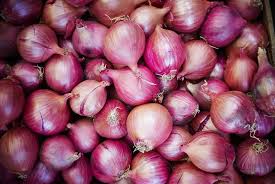 Image result for onion