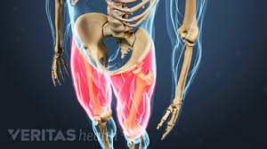 We did not find results for: Why Do I Feel A Warm Sensation In My Thigh