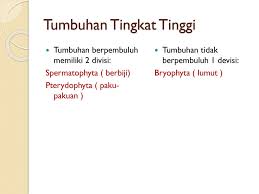 Dari segi morfologi dan fisiologi merupakan suatu kesatuan. Tumbuhan Tingkat Tinggi Dan Tingkat Rendah Ppt Download