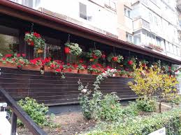 Revenirea în locurile în care a copilărit îl. La Calinescu Restaurant Romanesc Evaluare Restocracy