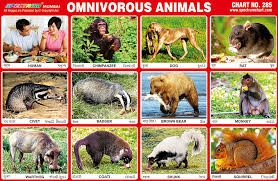 Spectrum Educational Charts Chart 285 Omnivorous Animals