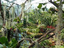 Jun 25, 2021 · zum video tiergarten nürnberg: Datei Manati Haus Tiergarten Nurnberg Jpg Wikipedia