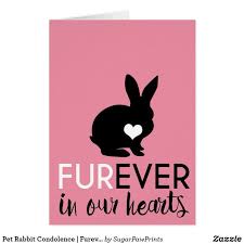 The loss of a pet can be devastating. Pet Rabbit Condolence Furever In Our Hearts Card Zazzle Com Pet Sympathy Cards Pet Rabbit Pet Sympathy