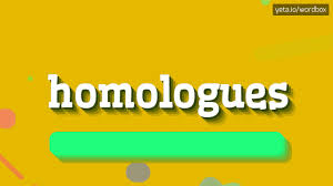 Record the pronunciation of this word in your own voice and play it to listen to how you have pronounced it. Homologues How To Pronounce It Youtube