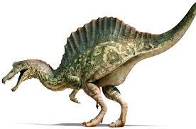 It lived in africa, just as the other sailed dinosaurs, dicraeosaurus (a sauropod) and spinosaurus (a theropod) did. Spinosaurus Spinosaurus Facts Dk Find Out
