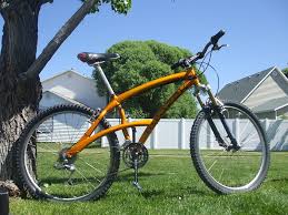 If that is not your thing you could shuttle this ride, but the road up. Mrazek Racing Hardtail For Mountain Bike Aficionados Cook For Sale