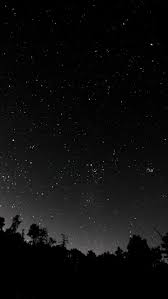 Gambar terkait dengan gambar bunga estetik kartun. Pin Oleh Pascale Clerie Di Black And White Wallpaper Gelap Wallpaper Hitam Dan Putih Estetika Hitam