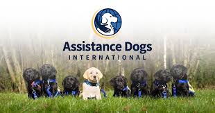 Our registration process is simple and free, you will receive an email. Assistance Dogs International
