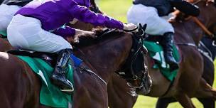 NJ Thoroughbred Festival & Giveaway