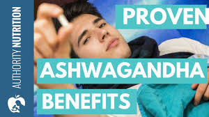 Which is the best sofa brand in india quora which is the best sofa brand in india quora what is the most comfortable and stylish sofa quora which is the best sofa brand to quora. 10 Best Ashwagandha Supplements In India 2021 Powder And Capsules