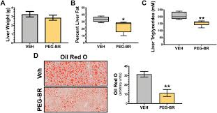 To access this post, you must purchase a ketoclub™ membership. Frontiers Bilirubin Nanoparticles Reduce Diet Induced Hepatic Steatosis Improve Fat Utilization And Increase Plasma B Hydroxybutyrate Pharmacology