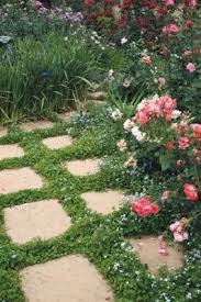 Click To View Full Size Image Ground Cover Plants Garden Gates And Fencing Small Gardens