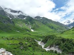 This richly diverse area is also home to rare and endangered animals, including the asiatic black bear, snow leopard, musk deer, brown bear, red fox and blue sheep. Valley Of Flowers National Park Hemkund Sahib Trek