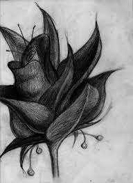 Missed Flower Pencil Drawing By Paul Anton Absolutearts Com Are you searching for pencil flower png images or vector? paul anton missed flower