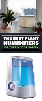 The Best Plant Humidifiers For Your Indoor Garden Epic Gardening Cool Plants Indoor Plant Care Indoor Garden