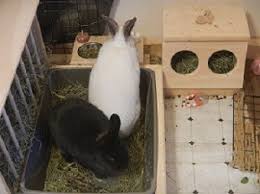 I hope this will give at least a couple folks some ideas of their own. Hay Rack Ideas Binkybunny