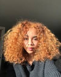 Then divide your hair into a front and back section by taking a comb and parting the hair from the top of your head to the top of your ears on each side. 200 Curly Hair Dye Ideas In 2021 Curly Hair Styles Hair Natural Hair Styles