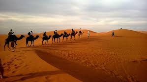 In the ground mounts category. Human Riding Camel On Dessert Under White Sky During Daytime Free Stock Photo
