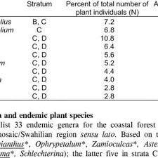 Image result for Schlechterina mitostemmatoides