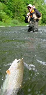 That night upper sandbar lake has probabally a thousand fish hits on the surface. Red Feather Lakes Fishing And Real Estate
