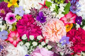 By definition, perennials are plants that live more than two years. What S The Difference Between Annual Vs Perennial Plants