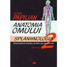 Rol, functii, mecanisme, patologie asociata, metode de diagnostic. Victor Papilian Anatomia Omului Preturi Rezultate Victor Papilian Anatomia Omului Lista Produse Preturi