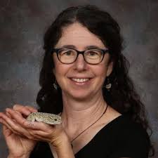 Welcome to Mrs. Wolff's Class!