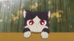 Pin By Brianna On My Roomate Is A Cat Anime Cats Art