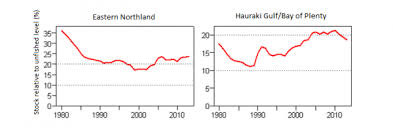 Snapper Fisheries Nz Nz Government