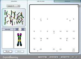 Explorelearning human karyotyping answer to quiz can be taken as competently as picked to act. Human Karyotyping As You Progress Through The Chromosomes What Three Features Change How Many Pairs Of Chromosomes Are Shown Pdf Free Download