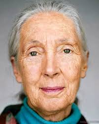 Conscious Holistic Healing, LLC