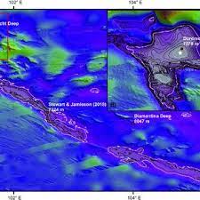 Under water stress, some plants develop short suberized roots, as the top soil becomes dry. Map Of The Puerto Rico Trench With The Published Milwaukee Deep Download Scientific Diagram
