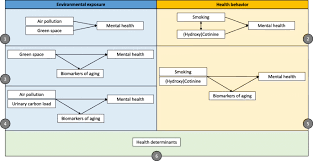 Queensland health maintains a register of places . Environmental Exposures And Health Behavior In Association With Mental Health A Study Design Archives Of Public Health Full Text