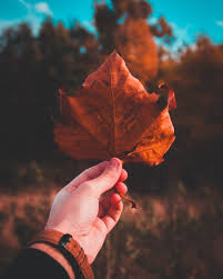 Comfort and restoration autumn cabin wallpaper desktop inspirations. Cozy Autumn Wallpapers Top Free Cozy Autumn Backgrounds Wallpaperaccess