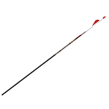 Easton Bloodline 6pk