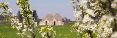 Il primo corso si è svolto tra il 2019 e il 2020 presso isbem mesagne, con ivonne. Die 10 Besten Hotels In Mesagne Italien Ab 46