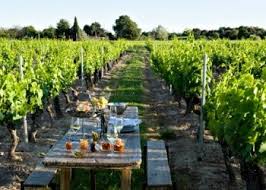 Restaurant Huitre Et La Vigne Provence Vigne Huitres Bar A Huitres