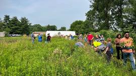 The Big Dig! — Sola Gratia Farm