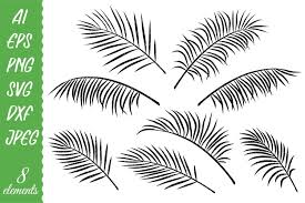 Coconut leaf branch, tropical jungle beach tree frond isolated vector. Palm Leaves Silhouette 729500 Cut Files Design Bundles