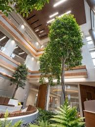 4 Tips For The Best Lighting For Indoor Plants