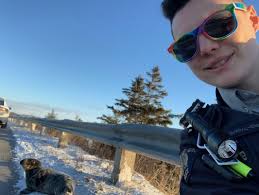 block island seals in their habitat