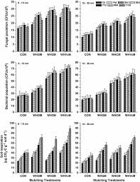 Mulch mart is now king's material. Effect Of Water Hyacinth Eichhornia Crassipes Mulch On Soil Microbial Properties In Lowland Rainfed Rice Based Agricultural System In Northeast India Springerlink